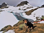 06 Laghetto di Pietra Quadra (2116 m) in lento disgelo...con Nana